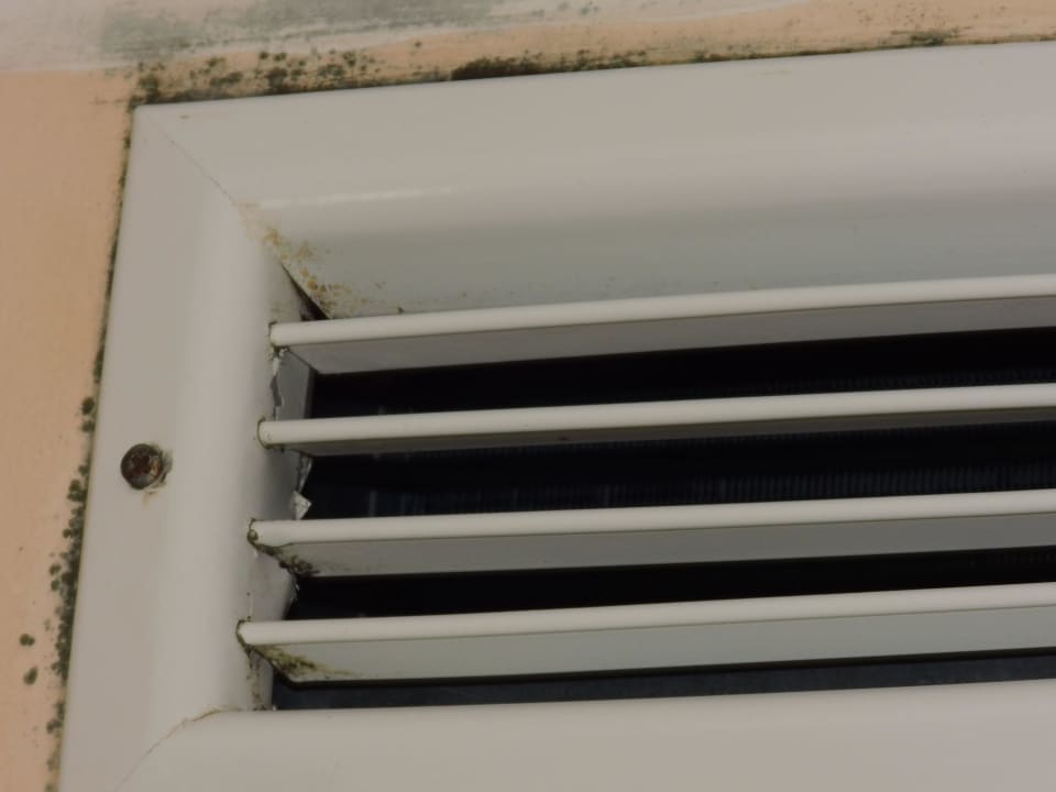 Schimmel im Hotel Pelikan Duni Royal Pelican Resort