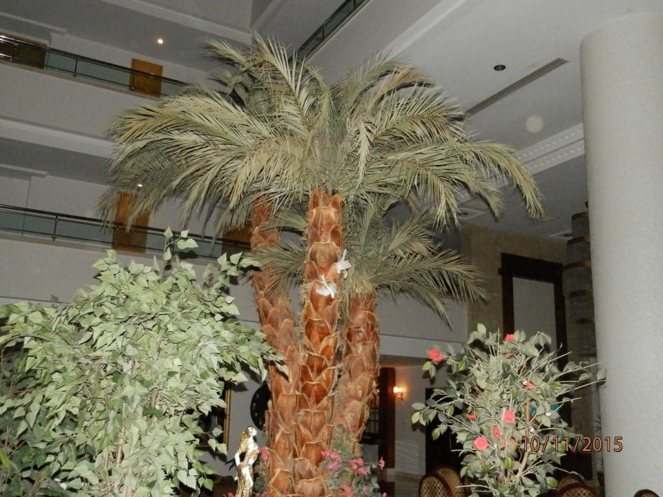Вход Saphir Resort & Spa