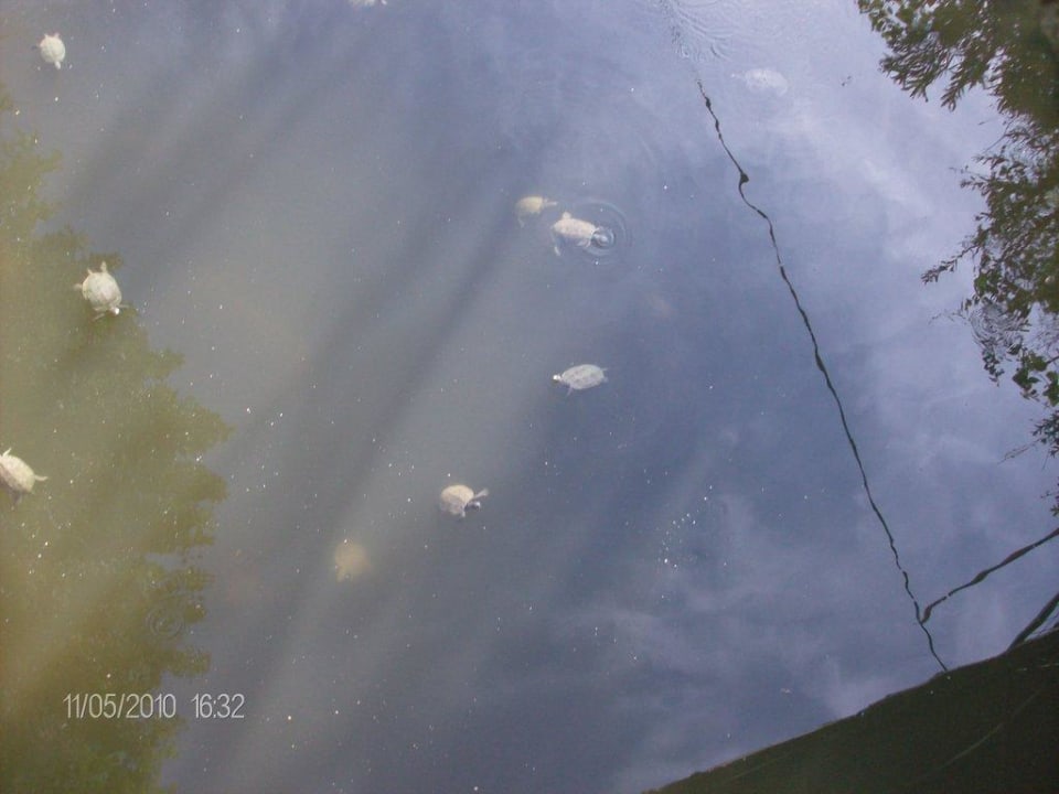 Gartenanlage VONRESORT Golden Coast