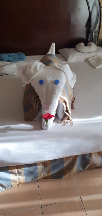 Zimmer Stella Beach Resort & Spa Makadi Bay