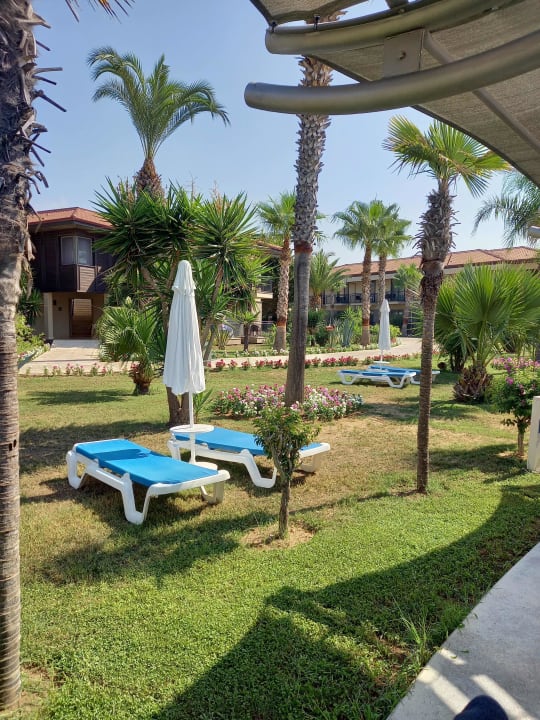 Gartenanlage TUI BLUE Palm Garden