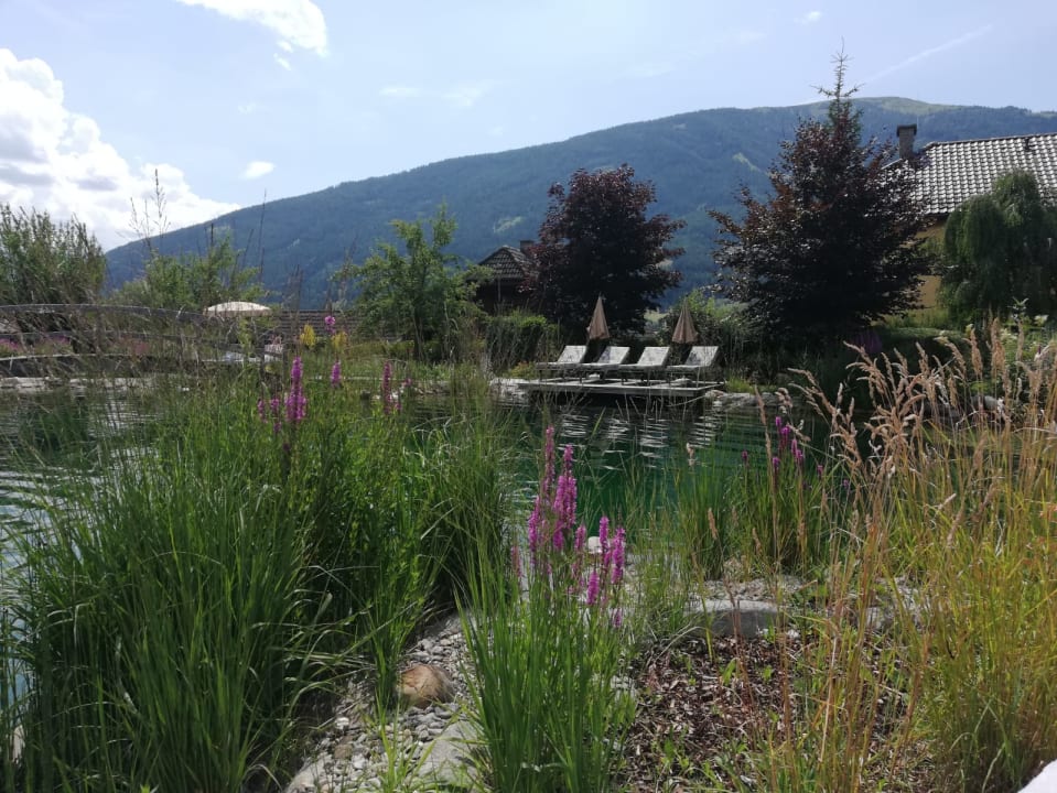 Pool Wellnesshotel Eggerwirt