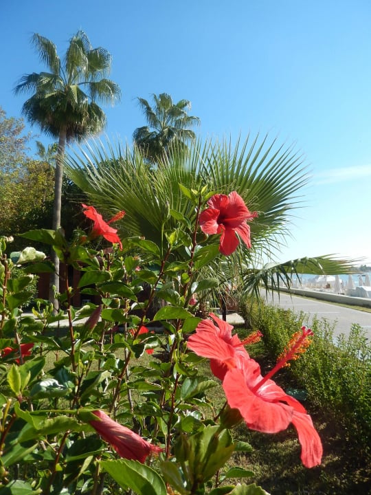 Direkt an der Promenade Hotel Sirma