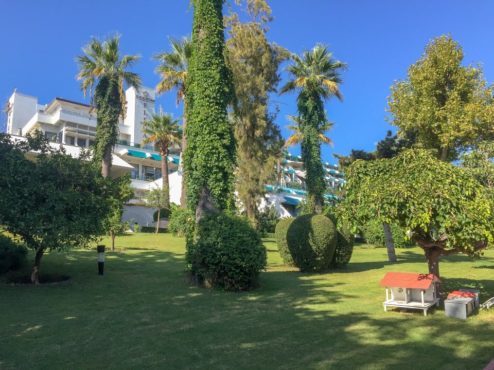 Gartenanlage Side Star Elegance