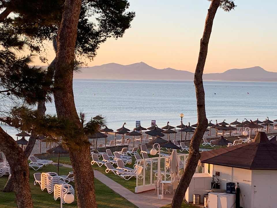 Gartenanlage Grupotel Los Principes & Spa