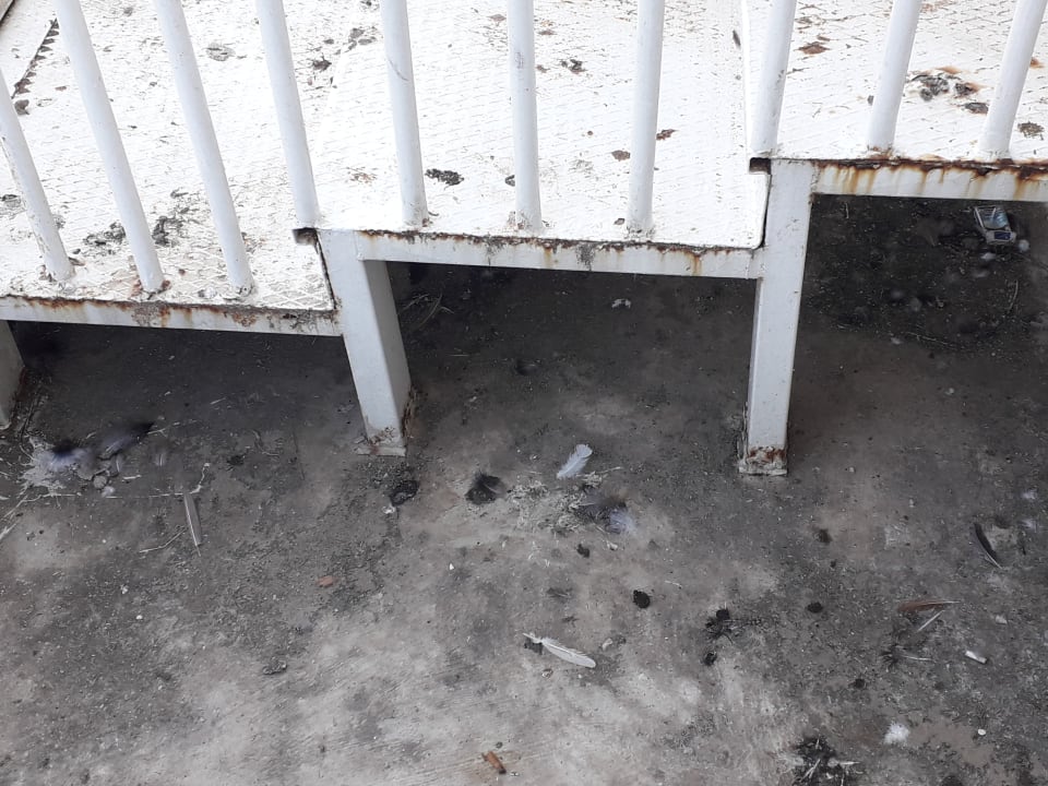 Sonstiges Seaden Sea World Resort & Spa