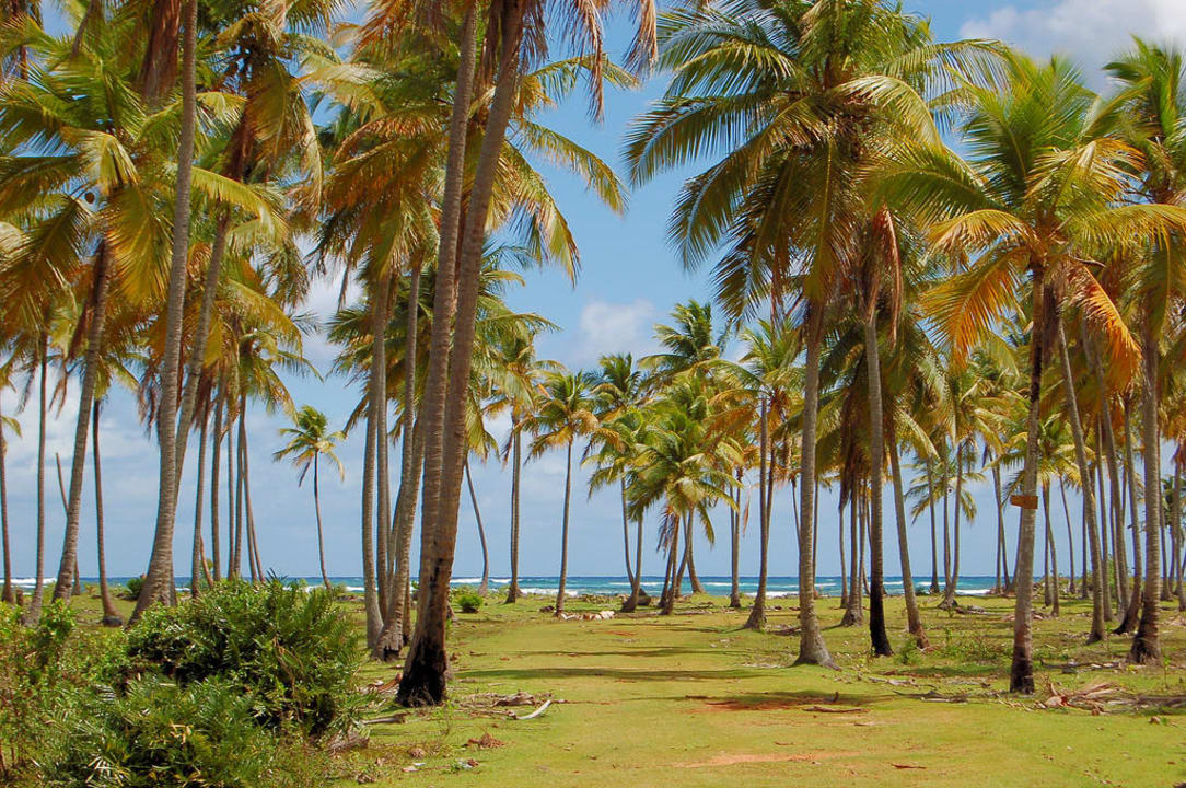 Hotelumgebung Wyndham Alltra Samana