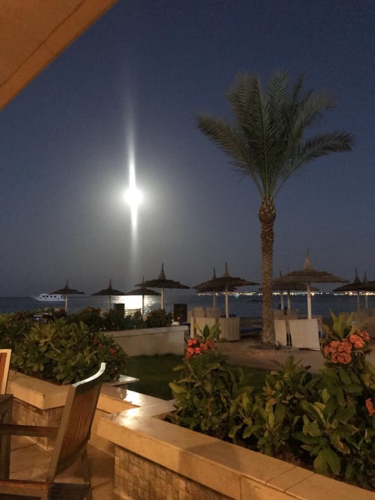 Gastro Beach Albatros Resort