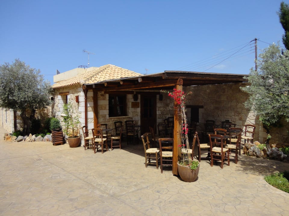 Kaffeeteria Cactus Royal