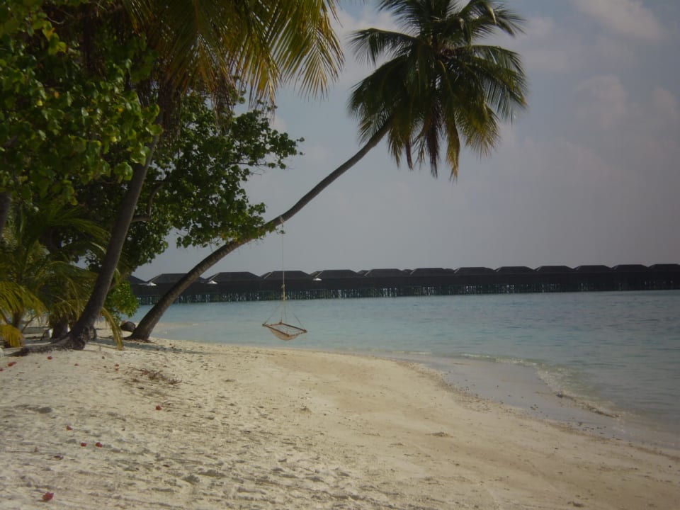 Bei den Beach-Villas (201-259) Meeru Maldives Resort Island
