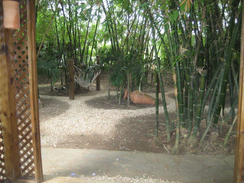 Metamorphosis SPA Dreams La Romana Resort & Spa