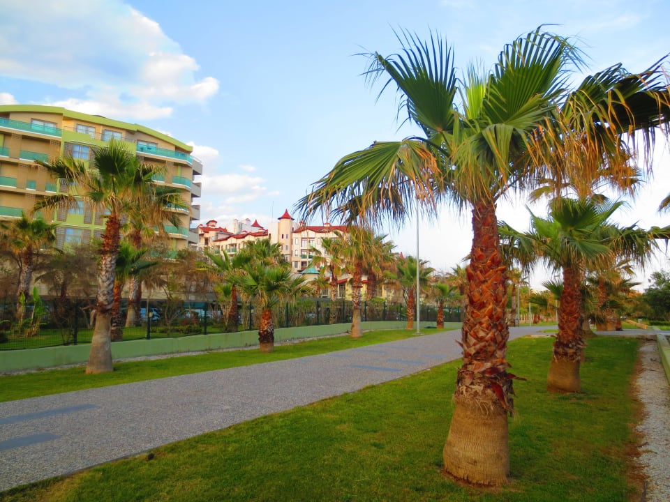 Blick zum Hotel von der Strandbar aus  VONRESORT Golden Coast