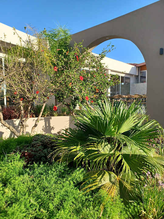 Gartenanlage Myrina Beach Hotel