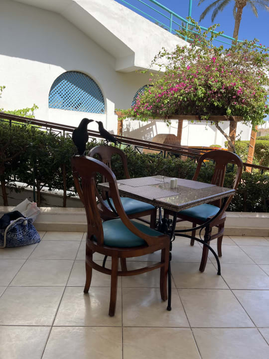 Gastro Shams Safaga Resort