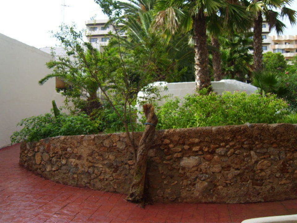 Gartenanlage Club Can Bossa