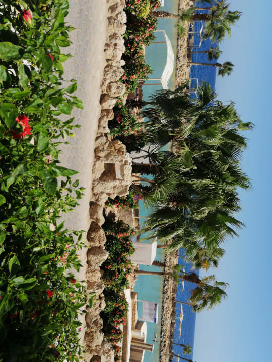 Strand Pickalbatros Citadel Resort