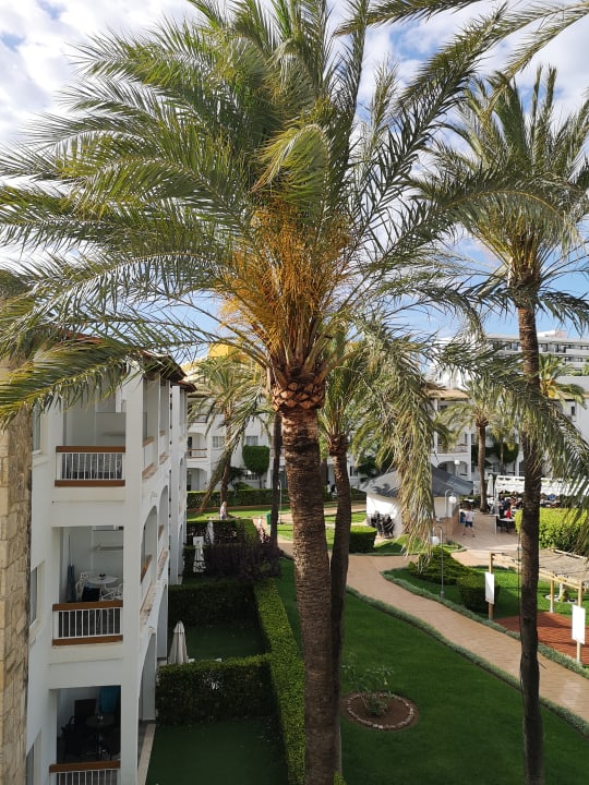 Außenansicht Alcudia Garden Aparthotel