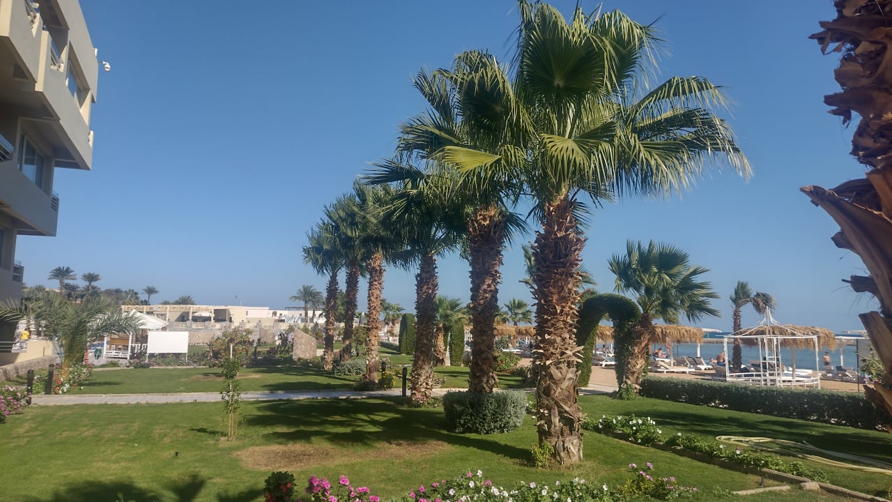 Gartenanlage Shams Safaga Resort
