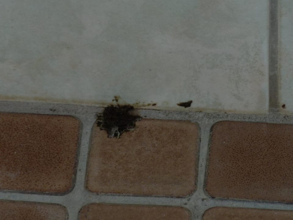 Vogelscheisse oder Dreck oder irgendetwas anderes! Hotel Mushara Lodge