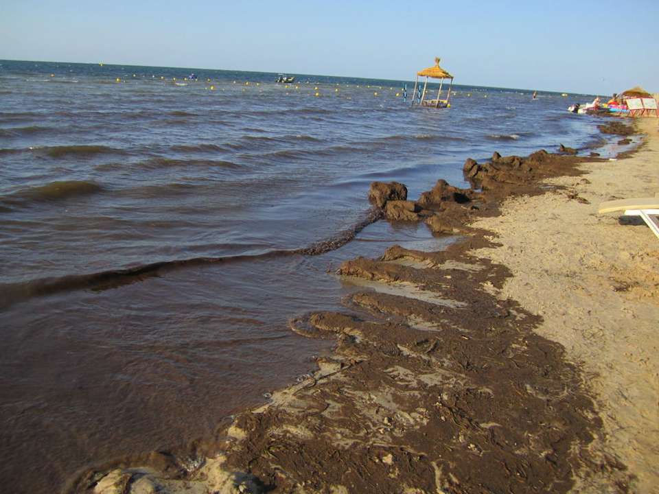 Strand des lti Hotel Rosa Beach Hotel Rosa Beach