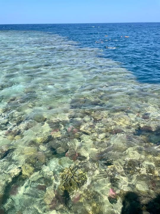 Strand Pickalbatros Sands Hotel - Port Ghalib