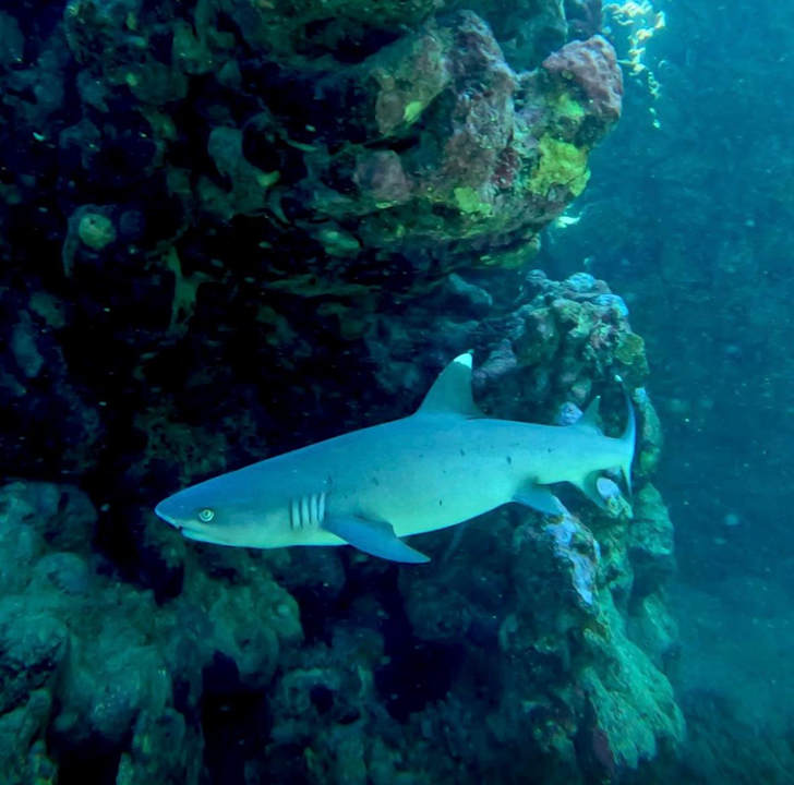 Sport & Freizeit Utopia Beach Club