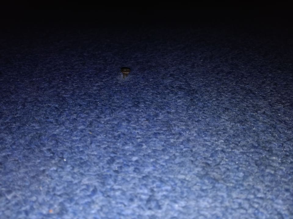 Zimmer Hotel Spreewitz am Kurfürstendamm