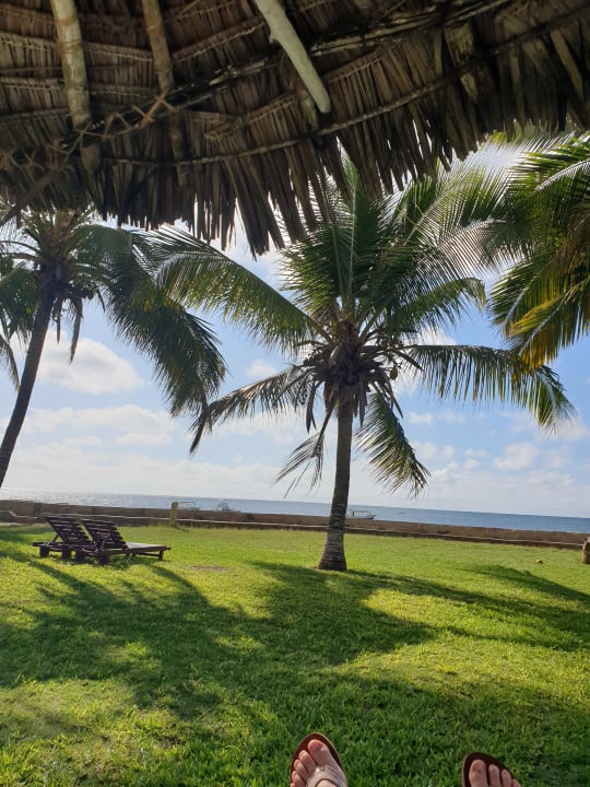 Gartenanlage Neptune Palm Beach Boutique Resort & Spa
