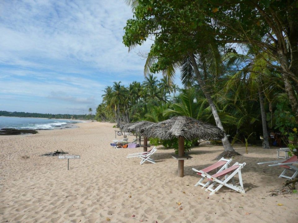 Sicht vom Strrand aufs Guesthouse Ibis Guesthouse