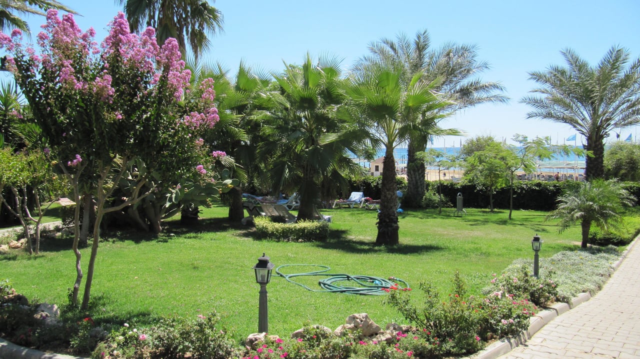 Liegewiese nahe dem Strand Hotel Terrace Beach Resort