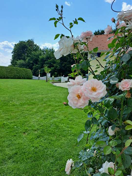 Gartenanlage Apartment - Zimmer Schober