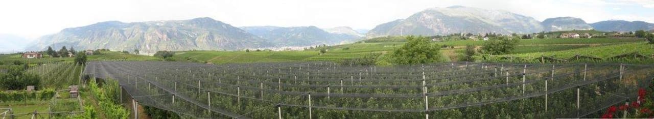 Panoramabild von der Wohnung Apfel Fasslhof