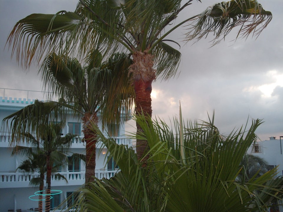 Vom Balkon 3. Stock ... Apartments Poseidon III, MC Ibiza