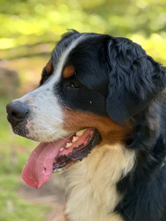 Sonstiges Ferienhof Hackl