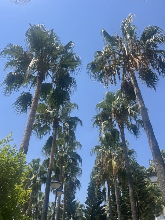 Gartenanlage Saphir Hotel & Villas