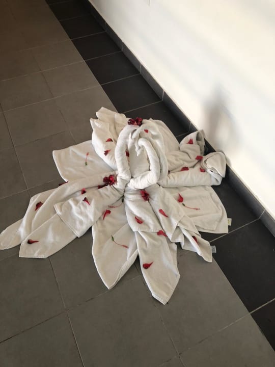 Zimmer Hotel Riu Republica - Adults only