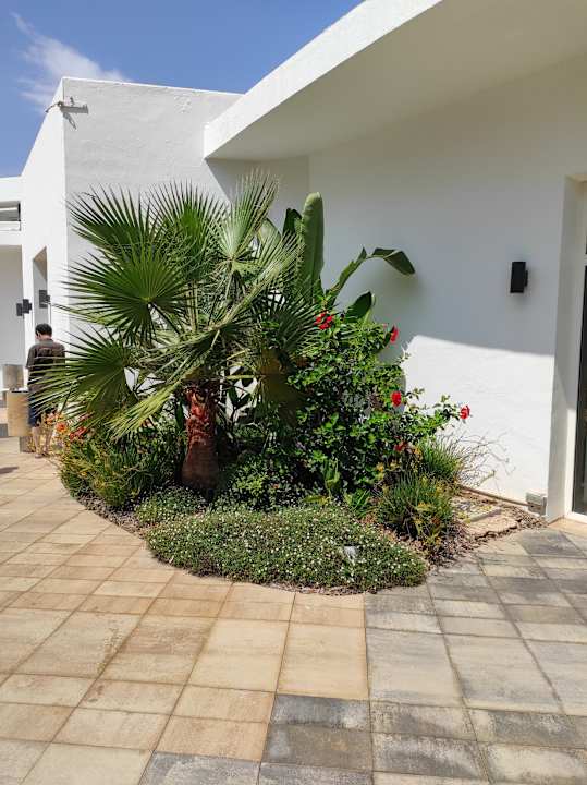 Außenansicht Grand Palladium Select Palace Ibiza