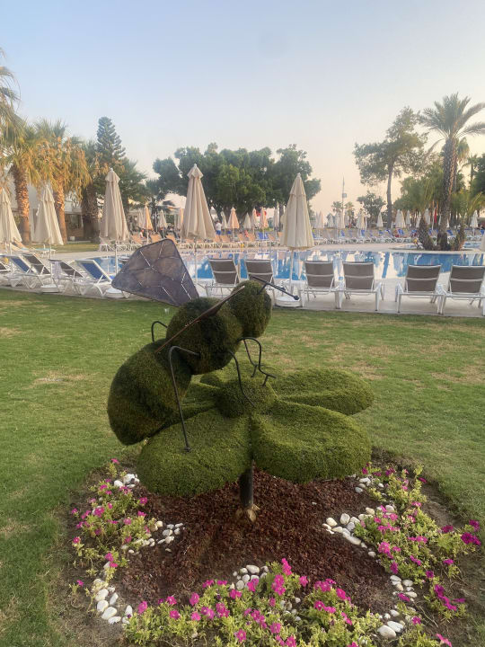 Gartenanlage Selectum Colours Side