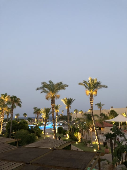 Gartenanlage Atlantica Aegean Blue