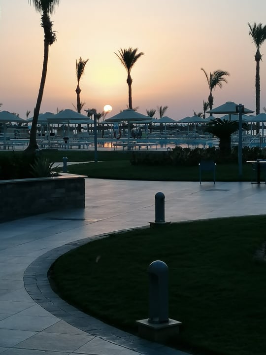 Ausblick Beach Albatros Resort