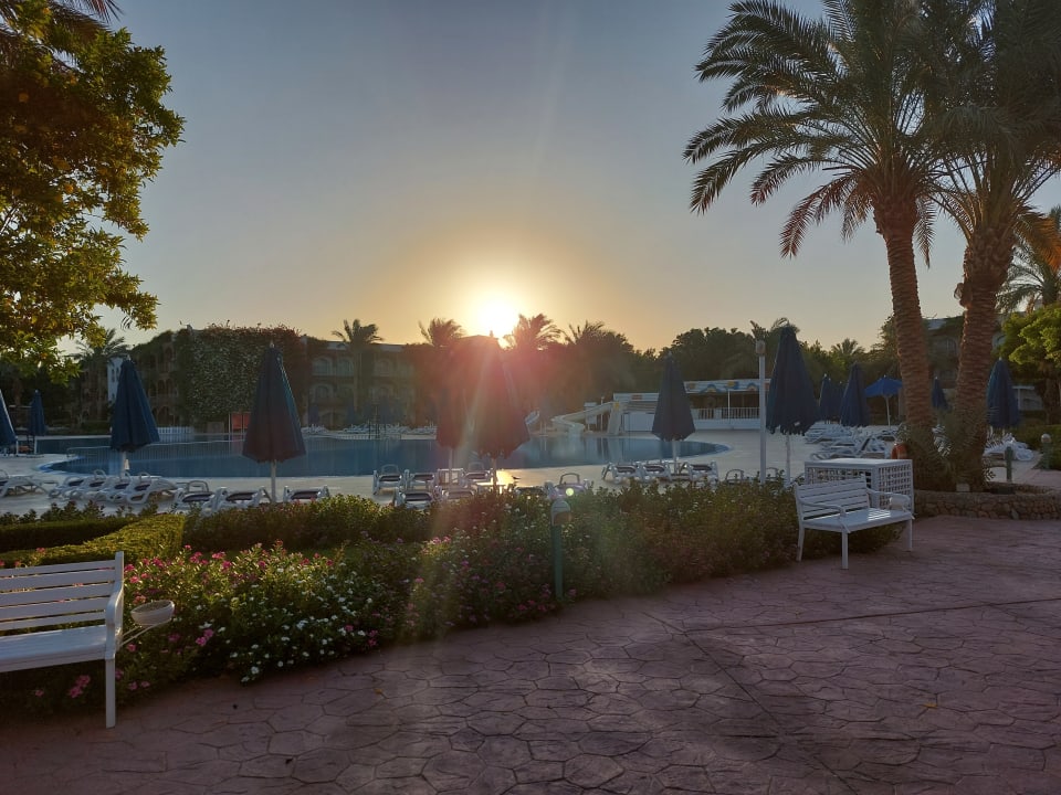 Außenansicht Desert Rose