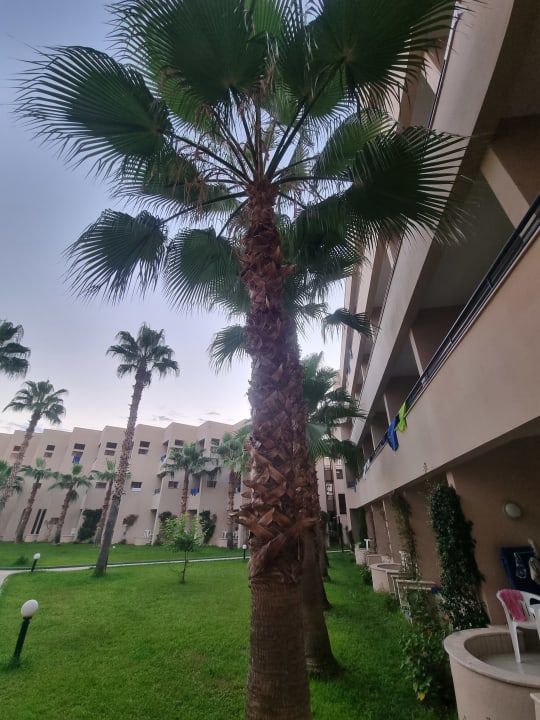 Außenansicht Labranda Alantur Resort