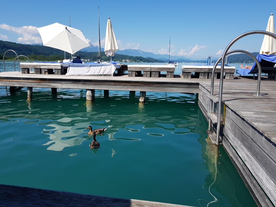 Strand Lake's - My Lake Hotel & Spa