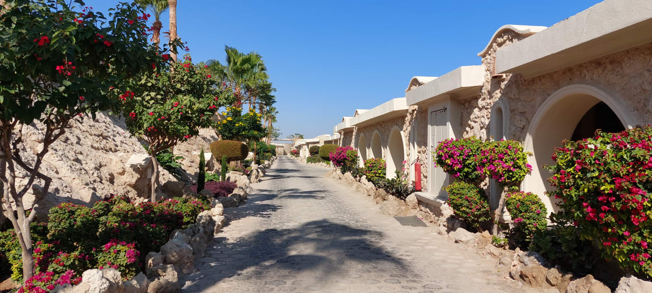 Ausblick Pickalbatros Citadel Resort