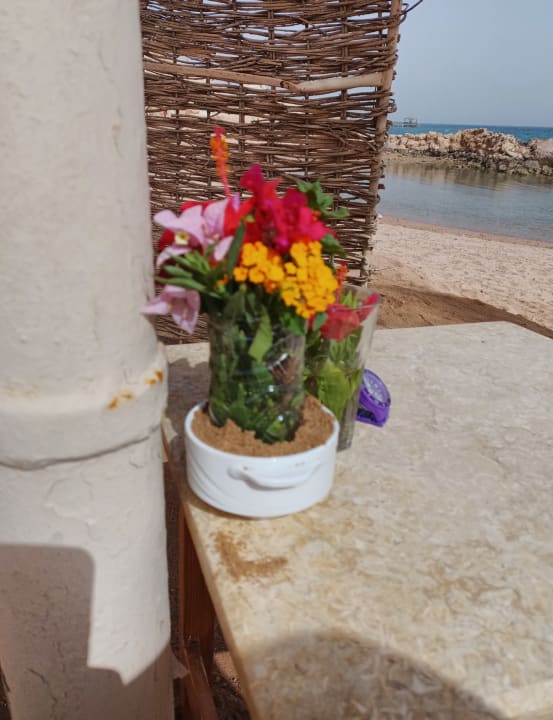 Sonstiges Pickalbatros Citadel Resort