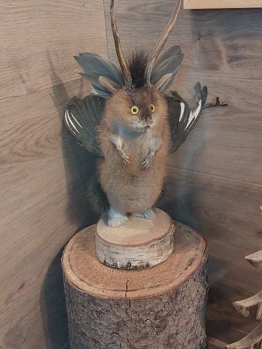 Sonstiges Wagners Hotel Wastlsäge