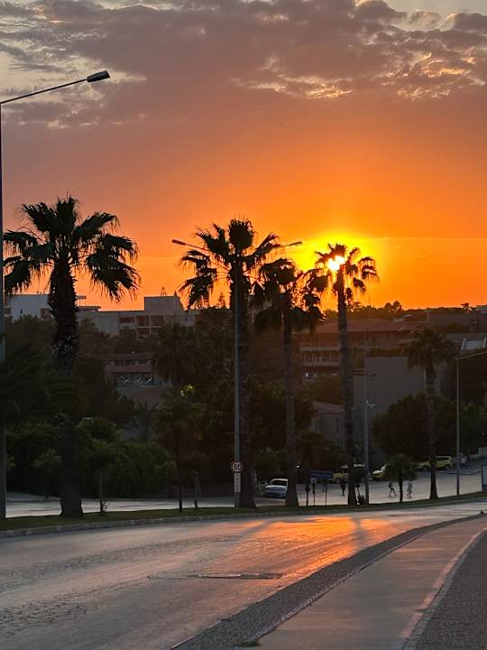 Ausblick Side Star Elegance