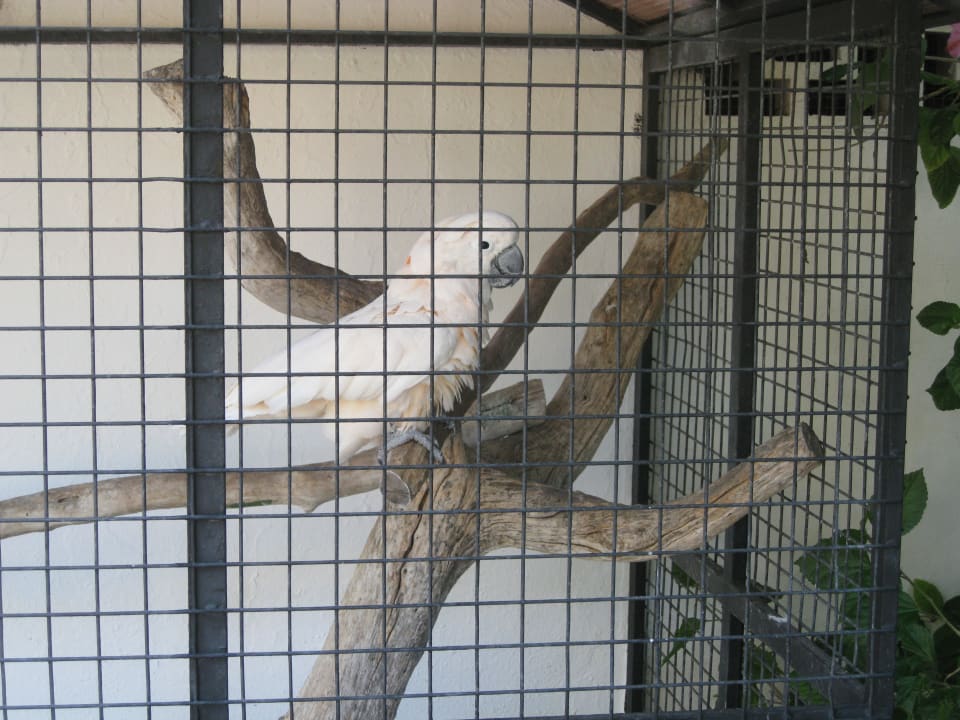 Dat Barbera Bahía de Alcúdia Hotel & Spa