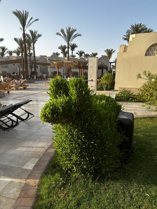 Gartenanlage Iberotel Makadi Beach