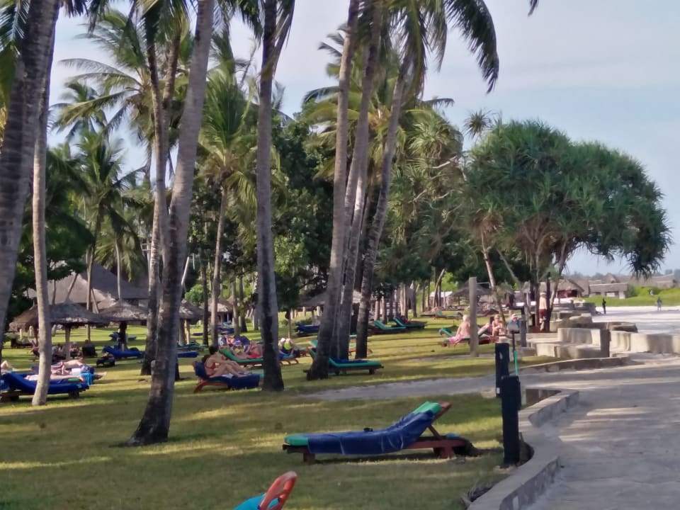 Gartenanlage Neptune Village Beach Resort & Spa